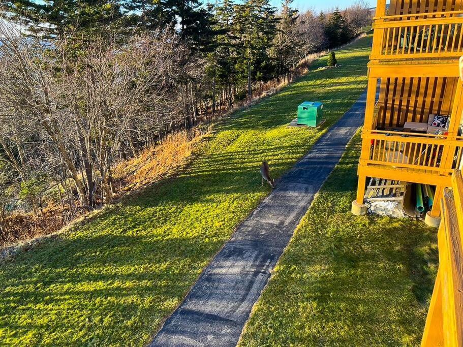 202D Summit - Completely Remodeled Modern Condo In Summit! Snowshoe Eksteriør billede