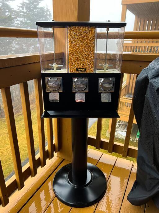 202D Summit - Completely Remodeled Modern Condo In Summit! Snowshoe Eksteriør billede