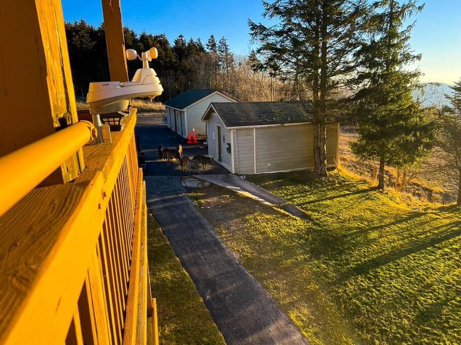 202D Summit - Completely Remodeled Modern Condo In Summit! Snowshoe Eksteriør billede